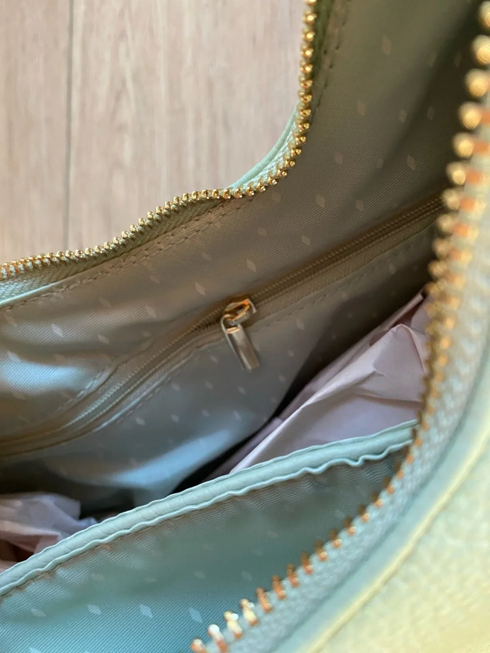 Vanessa Williams Crescent Hobo Bag in Mint Green